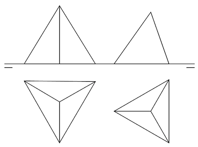 tetra1