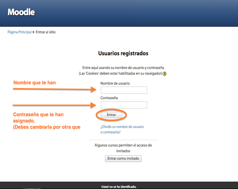 moodle